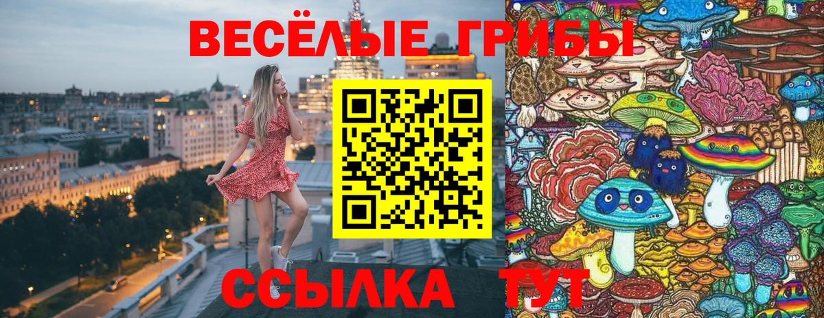 Галлюциногенные грибы GOLDEN TEACHER Выкса