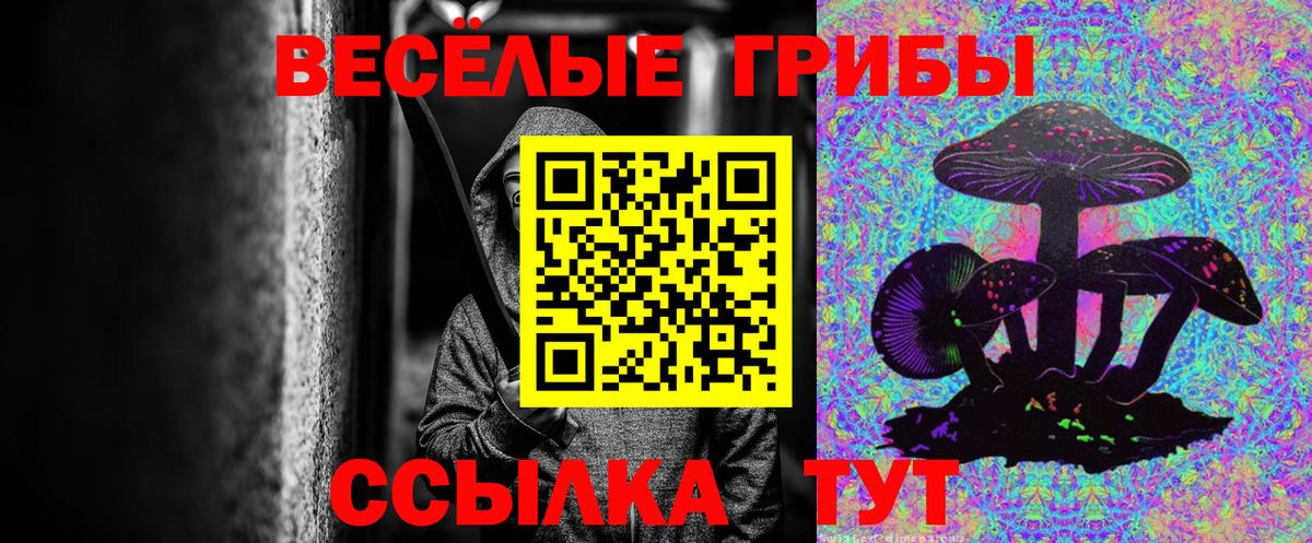 Галлюциногенные грибы Cubensis  Вход с VPN  Выкса  Псилоцибиновые грибы мухоморы 